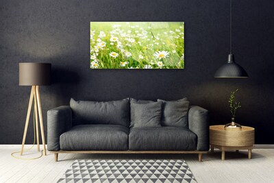 Quadro vetro Daisy Meadow Natura