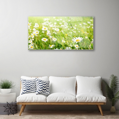 Quadro vetro Daisy Meadow Natura