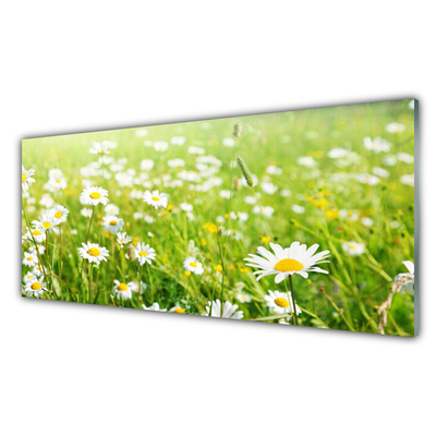 Quadro vetro Daisy Meadow Natura