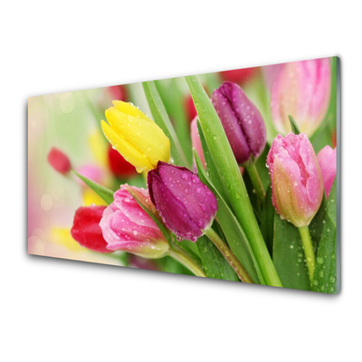 Quadro su vetro Tulipani Fiori Pianta