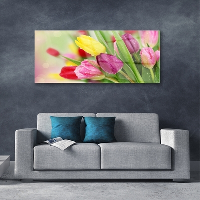 Quadro su vetro Tulipani Fiori Pianta