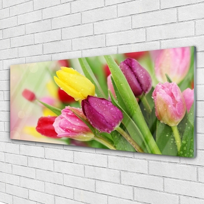 Quadro su vetro Tulipani Fiori Pianta