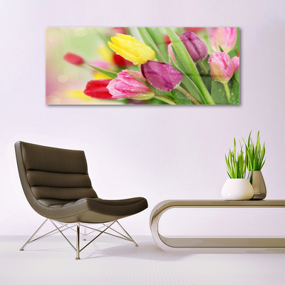 Quadro su vetro Tulipani Fiori Pianta