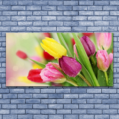 Quadro su vetro Tulipani Fiori Pianta