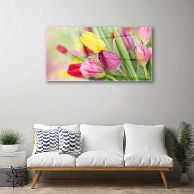 Quadro su vetro Tulipani Fiori Pianta