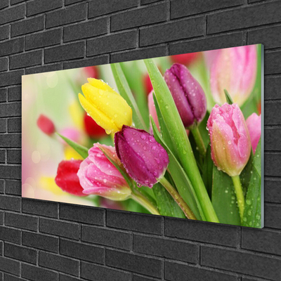 Quadro su vetro Tulipani Fiori Pianta