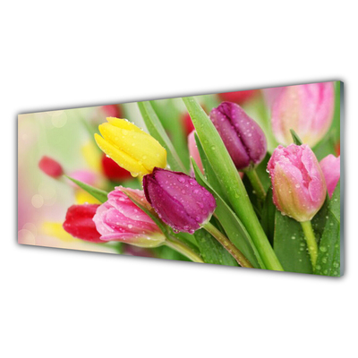 Quadro su vetro Tulipani Fiori Pianta