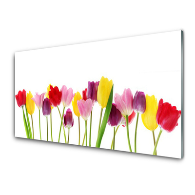 Quadro in vetro Tulipani Fiori Pianta