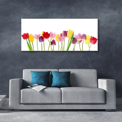 Quadro in vetro Tulipani Fiori Pianta