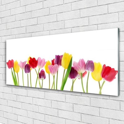 Quadro in vetro Tulipani Fiori Pianta