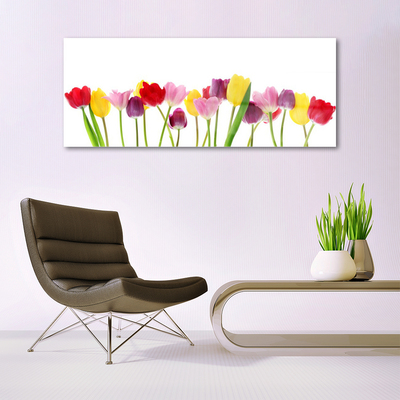 Quadro in vetro Tulipani Fiori Pianta