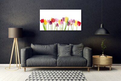 Quadro in vetro Tulipani Fiori Pianta