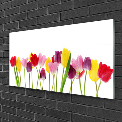 Quadro in vetro Tulipani Fiori Pianta