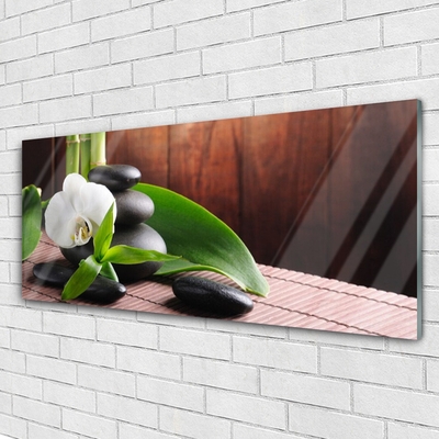 Quadro in vetro Orchid Flower Spa