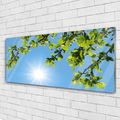 Quadro di vetro Sole Natura