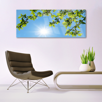 Quadro di vetro Sole Natura