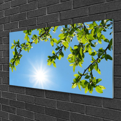 Quadro di vetro Sole Natura