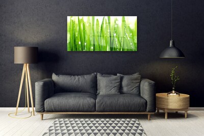 Quadro in vetro Erba Pianta Natura