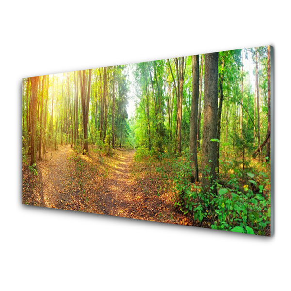 Quadro su vetro Foresta Natura Alberi