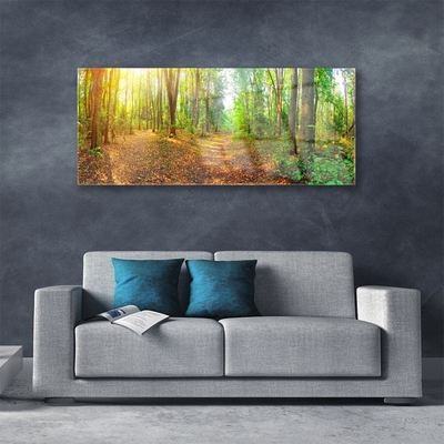 Quadro su vetro Foresta Natura Alberi