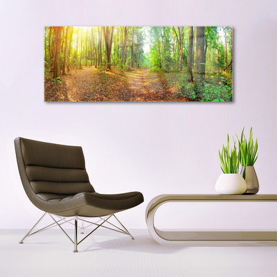 Quadro su vetro Foresta Natura Alberi