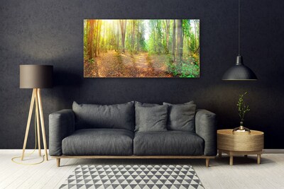 Quadro su vetro Foresta Natura Alberi