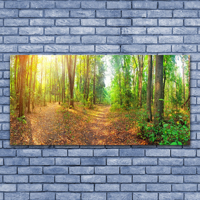 Quadro su vetro Foresta Natura Alberi