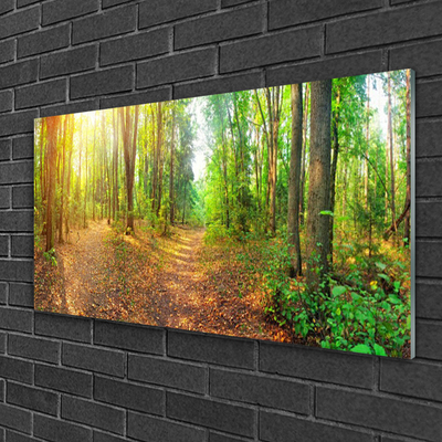 Quadro su vetro Foresta Natura Alberi