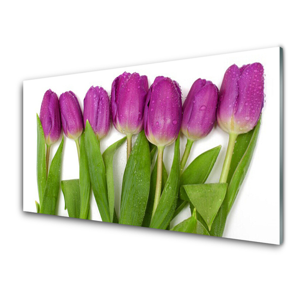 Quadro su vetro Tulipani Fiori Pianta