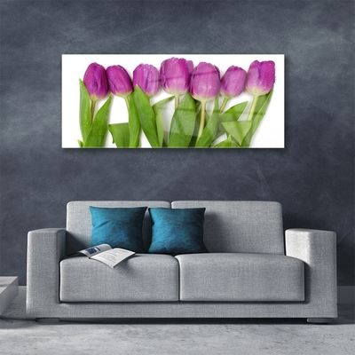 Quadro su vetro Tulipani Fiori Pianta