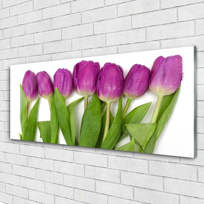 Quadro su vetro Tulipani Fiori Pianta