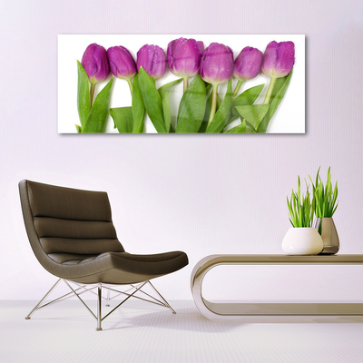 Quadro su vetro Tulipani Fiori Pianta