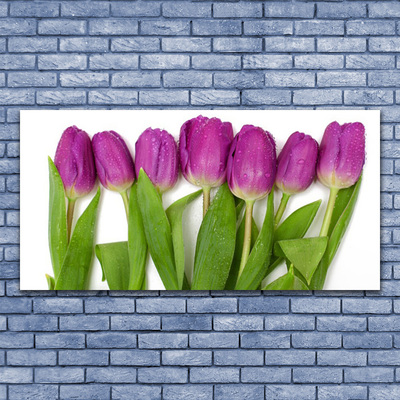 Quadro su vetro Tulipani Fiori Pianta