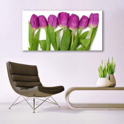 Quadro su vetro Tulipani Fiori Pianta