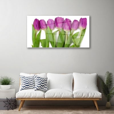 Quadro su vetro Tulipani Fiori Pianta