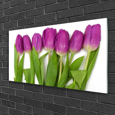 Quadro su vetro Tulipani Fiori Pianta