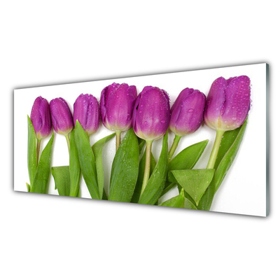 Quadro su vetro Tulipani Fiori Pianta