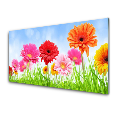 Quadro di vetro Fiori Erba Pianta