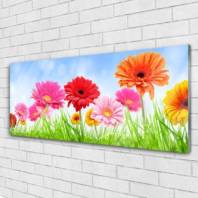 Quadro di vetro Fiori Erba Pianta