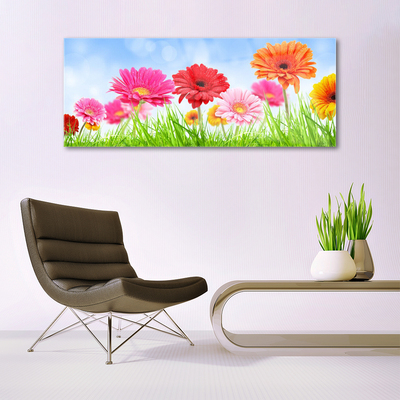 Quadro di vetro Fiori Erba Pianta