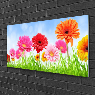 Quadro di vetro Fiori Erba Pianta