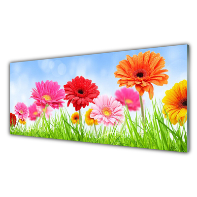 Quadro di vetro Fiori Erba Pianta