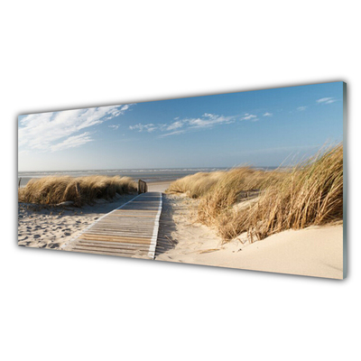 Quadro su vetro Paesaggio del sentiero della spiaggia