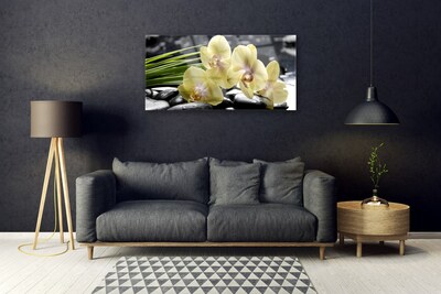 Quadro in vetro Fiori Pianta naturale