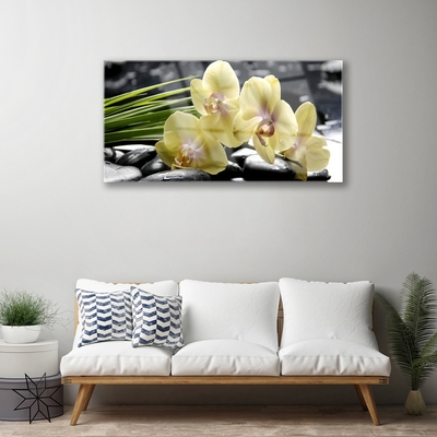 Quadro in vetro Fiori Pianta naturale