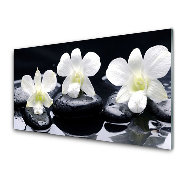 Quadro di vetro Pianta di orchidea