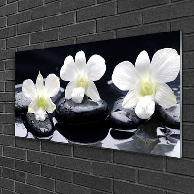 Quadro di vetro Pianta di orchidea