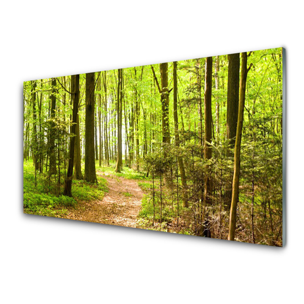 Quadro in vetro Percorso naturalistico della foresta