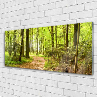 Quadro in vetro Percorso naturalistico della foresta