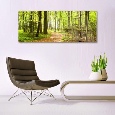 Quadro in vetro Percorso naturalistico della foresta